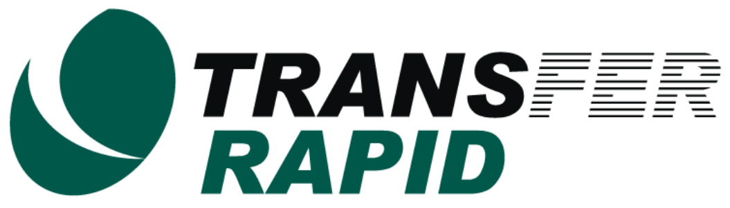 Rapid Transfer at Online Casinos Deposit Guide 1
